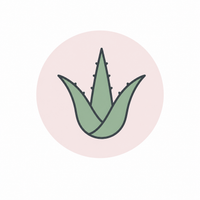 Aloe Vera Leaf Juice