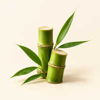Bamboo Extract