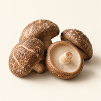 Shiitake Mushroom