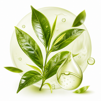 Green Tea Extract